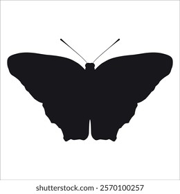 Black monochrome Butterfly Silhouette Vector illustration