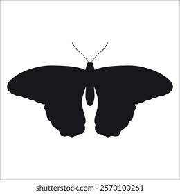 Black monochrome Butterfly Silhouette Vector illustration