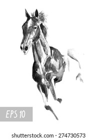 black monochrome horse watercolor in vector format. EPS 10