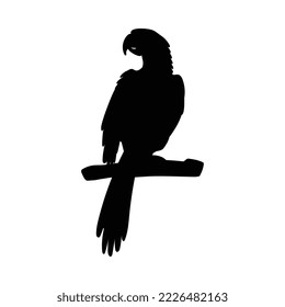 Black monochrome outline silhouette of parrot sitting on perch, flat vector illustration isolated on white background. Parrot bird black shadow shape for design.