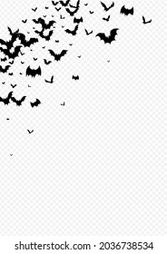 Black Monster Cartoon Vector Transparent Background. Bats Shadow Template. Horrible Flock Design. Fly Backdrop.