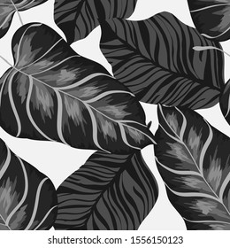 Black Monstera Foliage Vector Seamless Pattern. Ebony Modern Banana Backdrop Island Style. Mud Leaf Retro Print. Ebony Monstera Tree Print
