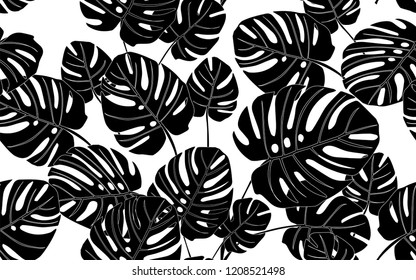 Black monstera leaves pattern. Vector illustration. Botanical seamless wallpaper. Digital nature art. Cartoon style sketch. White background.