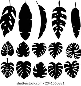 Black monstera leaves silhouettes. Nature leaves collection vector illustration.