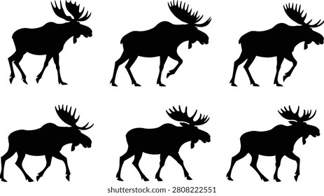 Black moose silhouettes walking set isolated on white background animal collection.