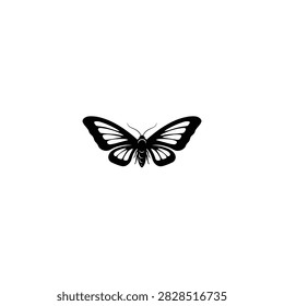 Black moth silhouette against a white background simple graphic design