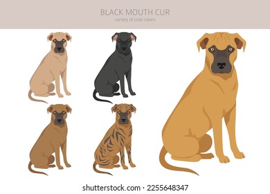 Black mouth cur clipart. Different coat colors and poses set.  Vector illustration