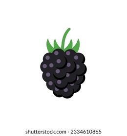 Black Mulberry Fruit Vector Icon