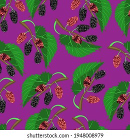  Black mulberry on lilac background. Seamless pattern, vector.