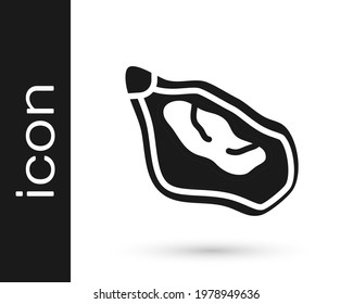 Black Mussel icon isolated on white background. Fresh delicious seafood.  Vector