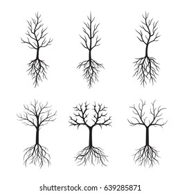 Black Naked Trees and Roots. Vector Illustration.