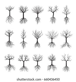 Black Naked Trees and Roots. Vector Illustration.