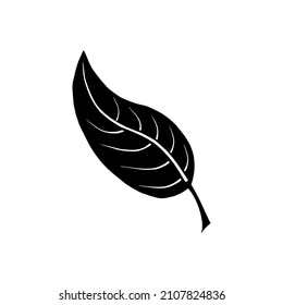 Dibujo de hojas naturales negras, vector