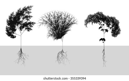 Black naturalistic cereals with root system - vector illustration