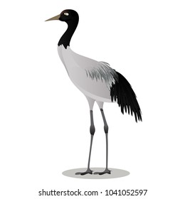 Black necked crane cartoon