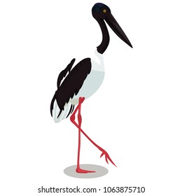 Black necked stork cartoon bird