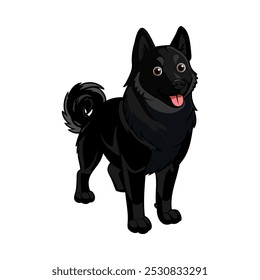 Black Norwegian Elkhound dog breed vector illustration isolated on white background in cartoon style.