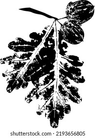 Black oak branch with Leaf stamp. Imprint of fallen leaves. Autumn pattern. Creative natural decor. Hand-crafted vector art prints. Seasonal modern packaging.