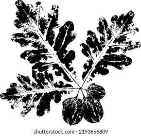 Black oak branch with Leaf stamp. Imprint of fallen leaves. Autumn pattern. Creative natural decor. Hand-crafted vector art prints. Seasonal modern packaging.