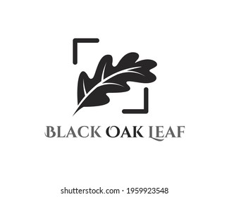 black oak leaf logo inside square camera focus