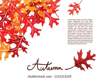 Black Oak leaves at the left corner on white background with hand written word "Autumn" and copy space