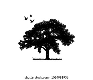 Black Oak Tree With Flying Birds Illustration Silhouette Logo Symbol Vector