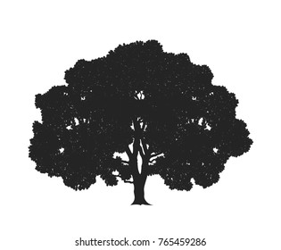 Black oak tree. Isolated oak tree on white background. EPS 10. Vector illustration

