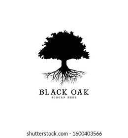 black oak tree logo and roots design 