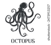 Black octopus retro hand drawn sketch. Octpous engraving, scary devilfish etching isolated vector illustration