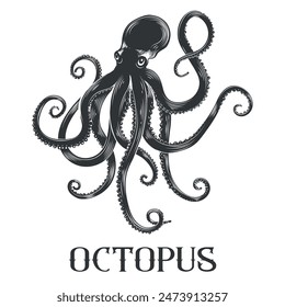 Black octopus retro hand drawn sketch. Octpous engraving, scary devilfish etching isolated vector illustration