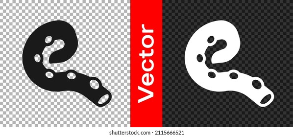 Black Octopus of tentacle icon isolated on transparent background.  Vector