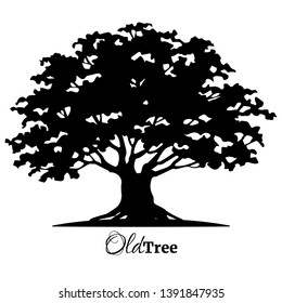 Black old tree silhouette. Tree of Life. Vector illustration.