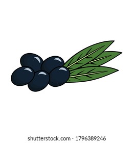 Black olive branch in a cartoon style isolated. Vector olive tree in a hand drawn style 