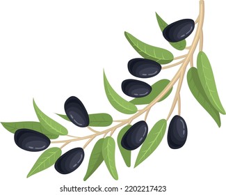 Black olive branch. Fresh plant. Natural product sign isolated on white background