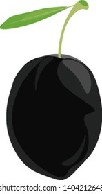 A black olive with a leaf, vector, color drawing or illustration. 