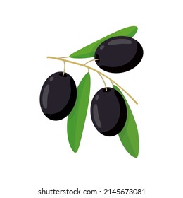 Black olive on an isolated background with leaves. Design of olive oil, natural cosmetics, children's teaching aids. Vector.