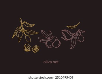 Colección de elemento de boceto de oliva negra, ramas de olivo aisladas sobre un fondo verde, hojas, aceitunas, Vector dibujado a mano conjunto.	