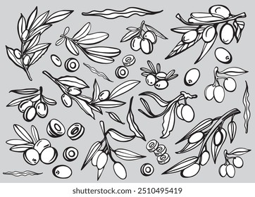 Black olive sketch element collection, olive branches isolated on a green background, leaves, olives, vector hand drawn set.	