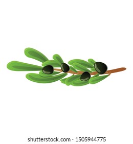 Black olive tree icon. Cartoon of black olive tree vector icon for web design isolated on white background