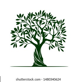 Black Olive Tree n white background. Vector Illustration and concept pictogram. Plant in garden.