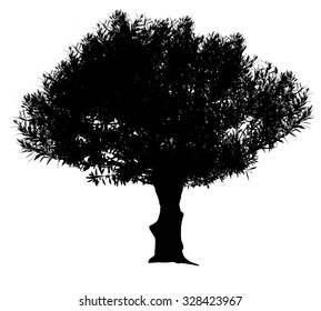 Black olive tree silhouette isolated on white background, vector illustration