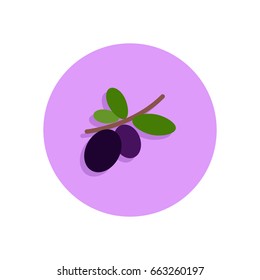 Black Olives branch flat icon. Round colorful button, circular vector sign, logo illustration. Flat style design