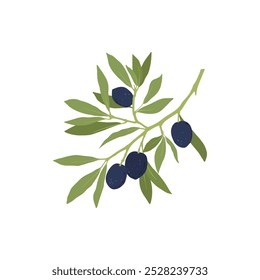Black olives. Cartoon organic mediterranean fruit, agriculture organic vegetable vegan food, natural healthy product. Vector isolated set on white background