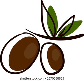 Black olives drawing, illustration, vector on white background.