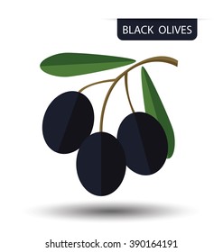 Black olives, fruit vector illustration