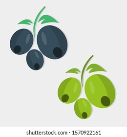 black olives and green olives isolated vector illustration