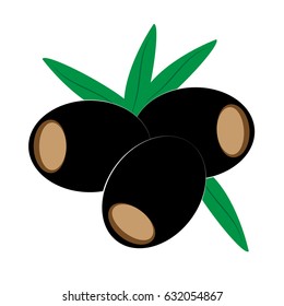 Black olives isolated on white background. Vector illustration.
