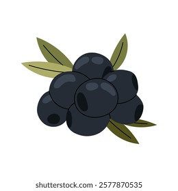 Black olives with leaves. Marinated snack. Ingredients for cooking. Flat illustration on white background.