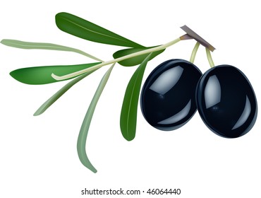 22,409 Black And White Olives Stock Vectors, Images & Vector Art 