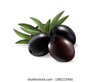Black olives with leaves. Photo-realistic vector, 3d